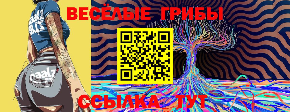 Галлюциногенные грибы Psilocybine cubensis  Вход с VPN  Гулькевичи 