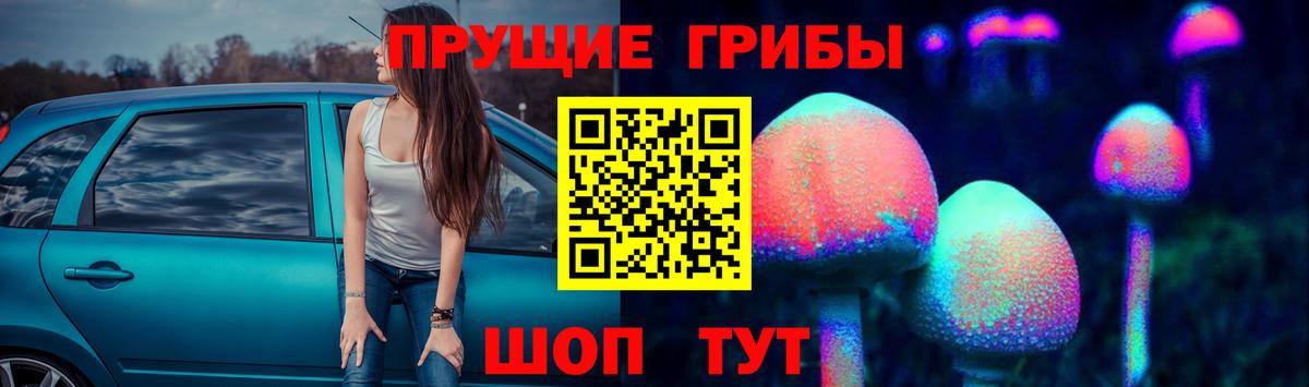 Галлюциногенные грибы GOLDEN TEACHER Гулькевичи
